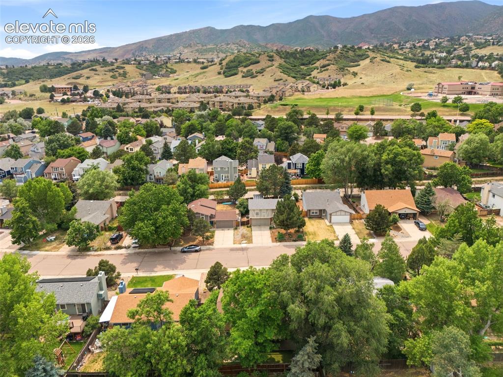 Image 33 of 35: Residential neighborhood featuring mature trees and a varied architectural