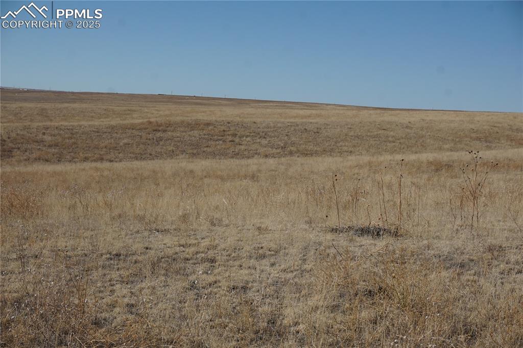 Image 14 of 18: Other