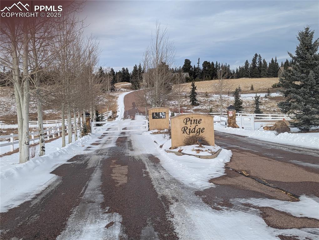 Image 11 of 11: Community