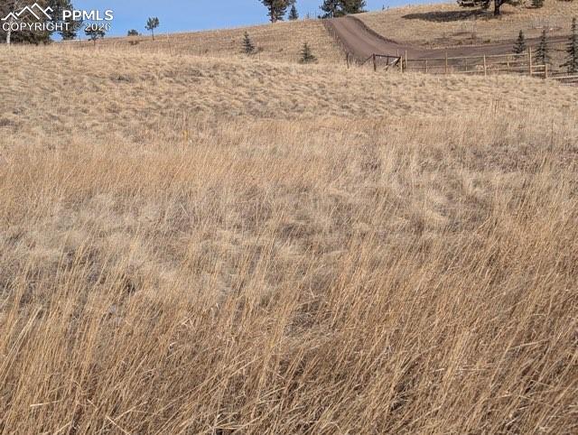 Image 15 of 18: View