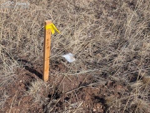 Image 18 of 18: Other