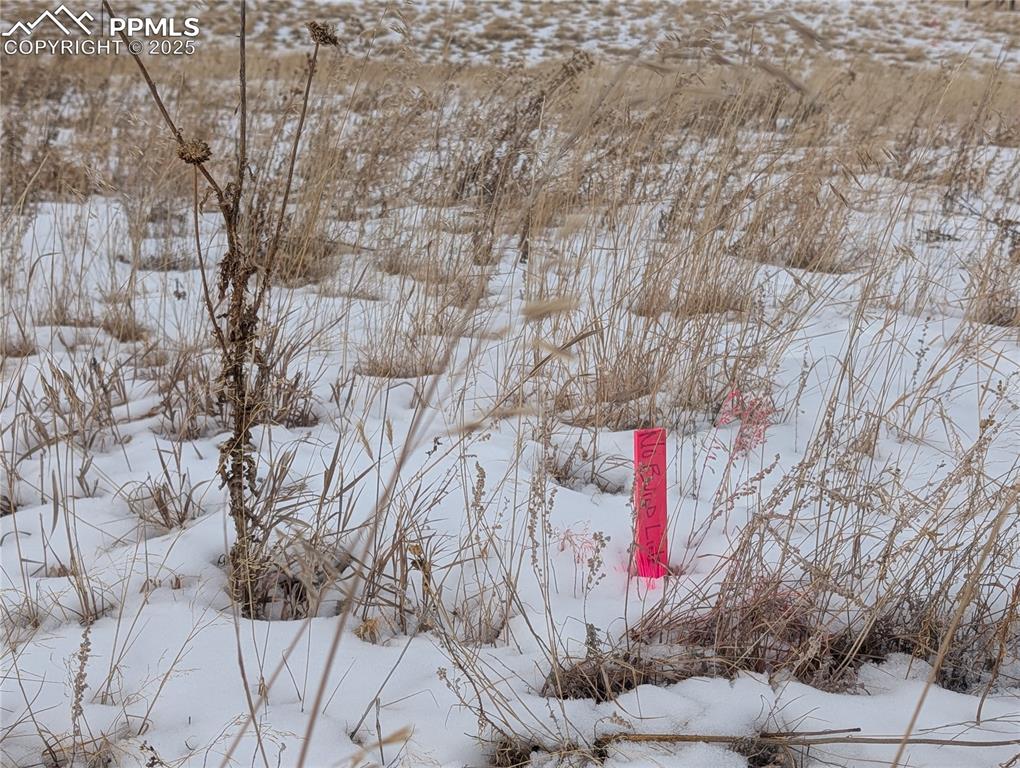 Image 4 of 11: Aerial View