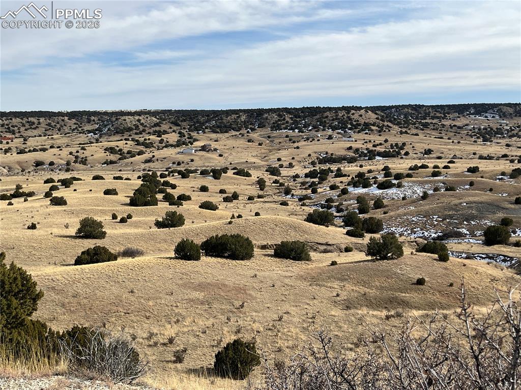 Caption: Aerial View