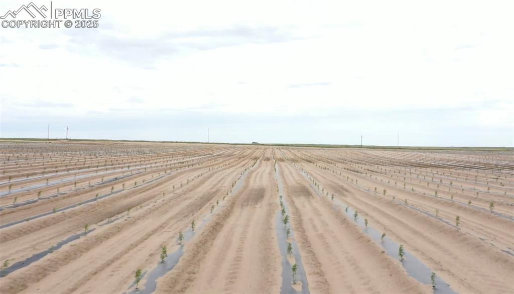 Image 45 of 50: Fields when in production