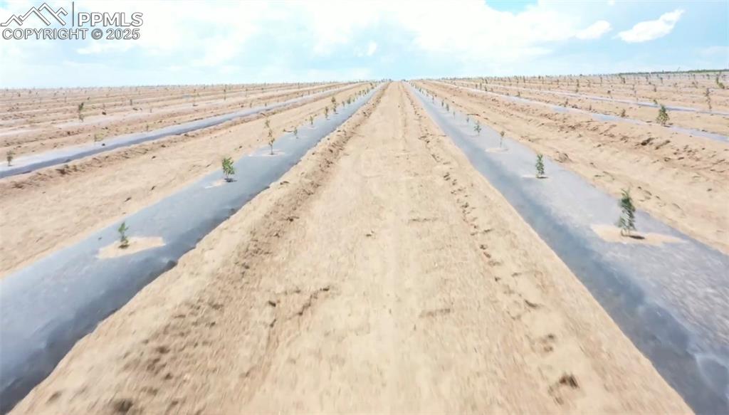 Image 48 of 50: Fields when in production