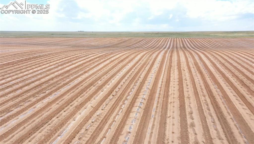 Image 49 of 50: Fields when in production