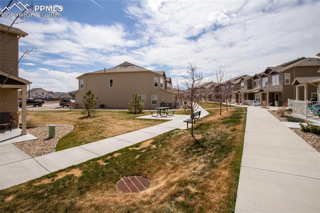 Image 41 of 47: Yard