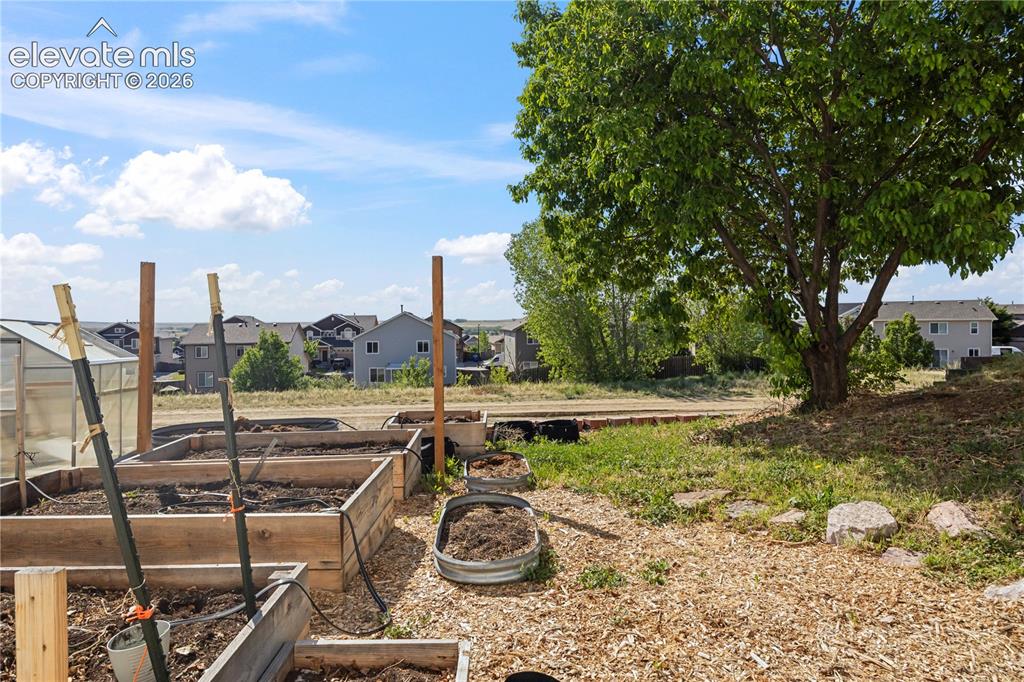 Image 42 of 46: Yard