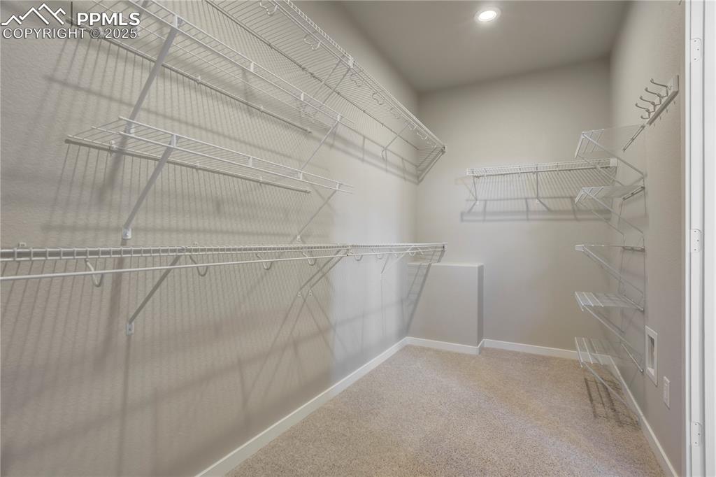 Image 26 of 50: Spacious primary closet featuring light colored carpet