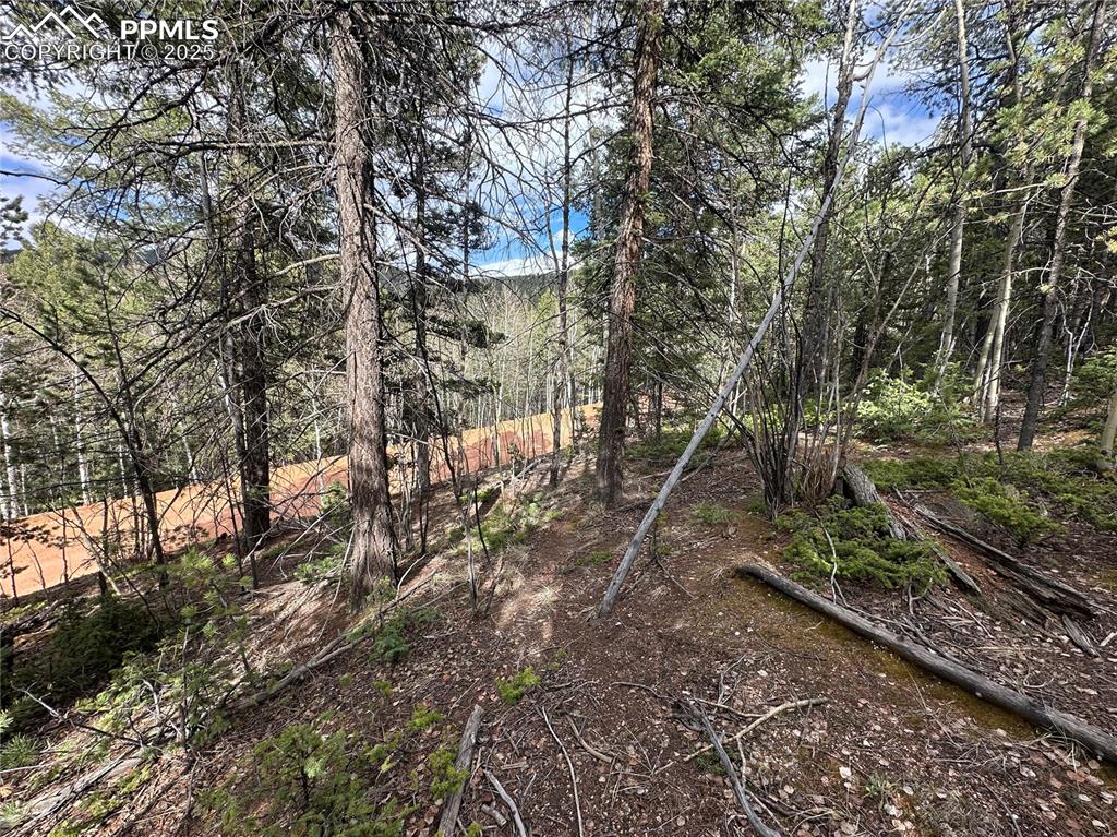 Image 10 of 33: Other