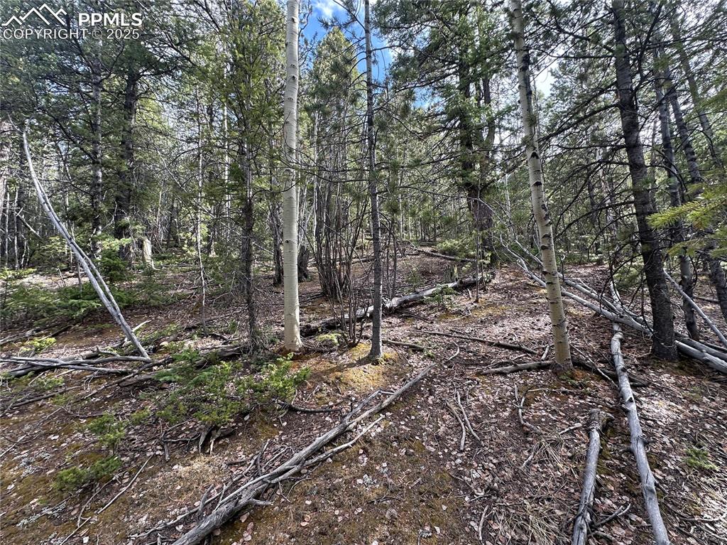 Image 11 of 33: Other