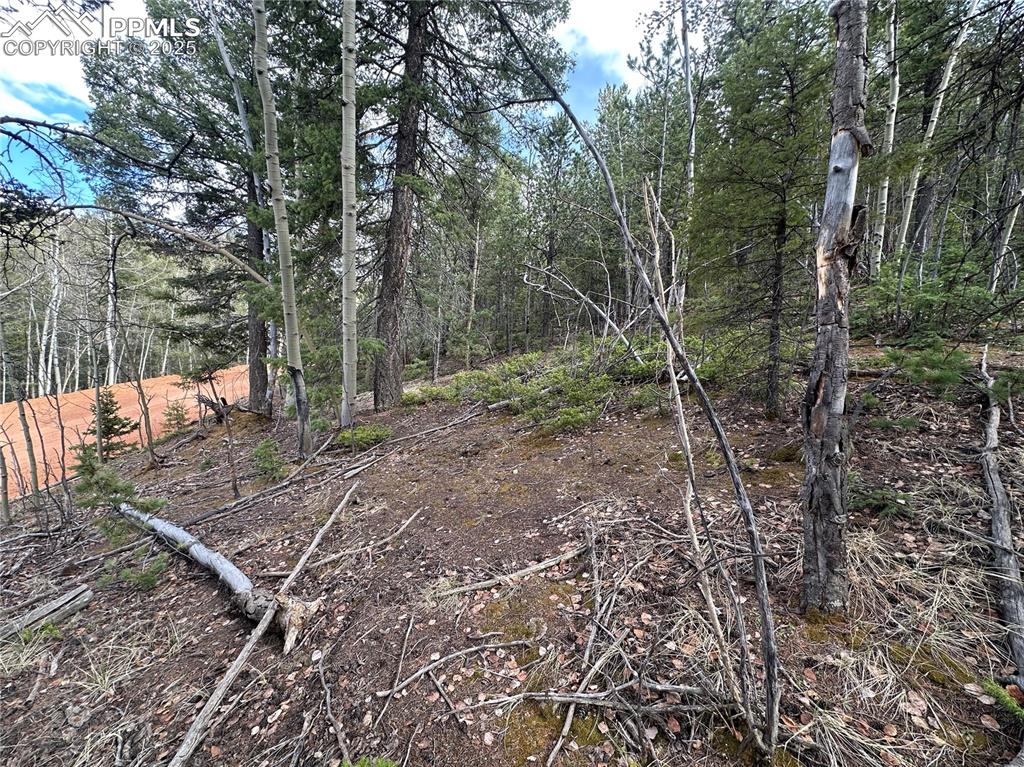 Image 12 of 33: Other