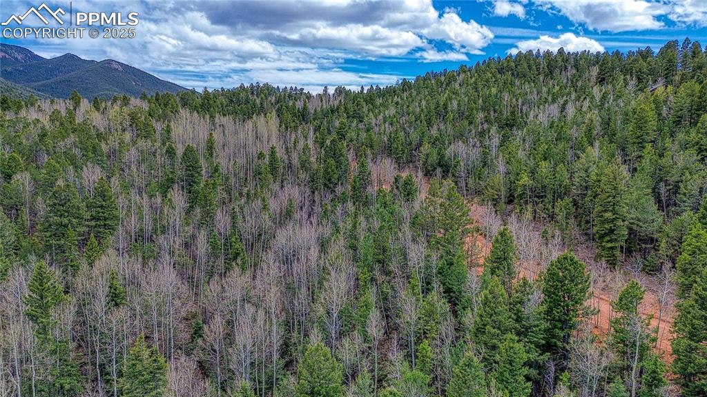 Image 13 of 33: View