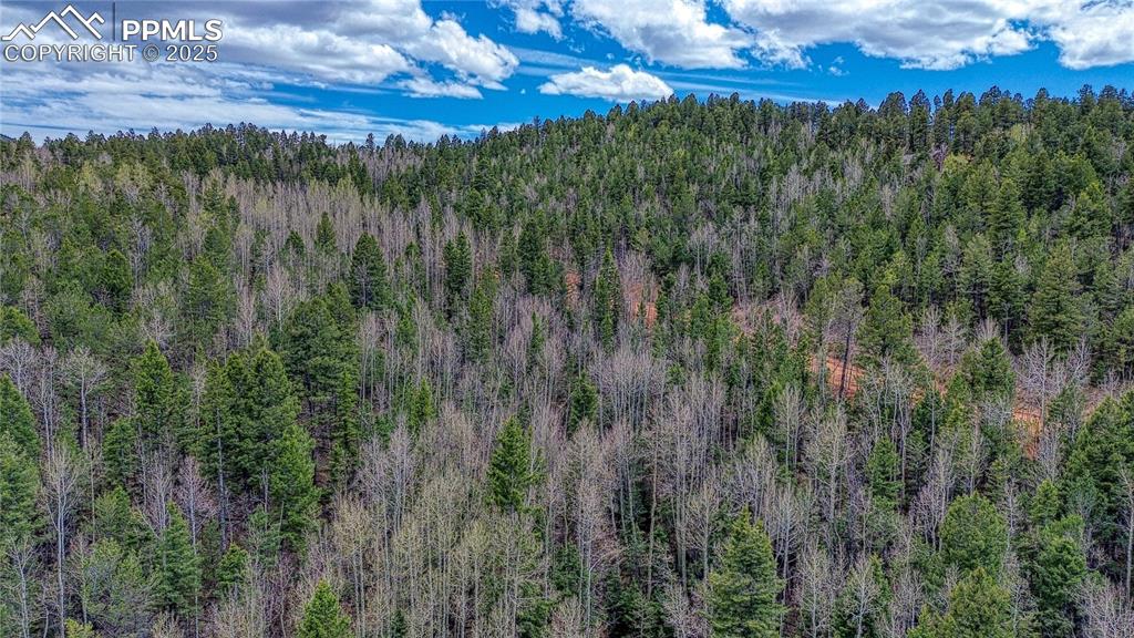 Image 29 of 33: Aerial View