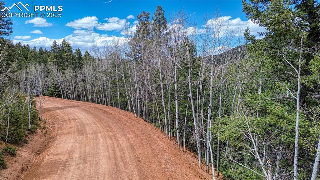 Image 31 of 33: Community