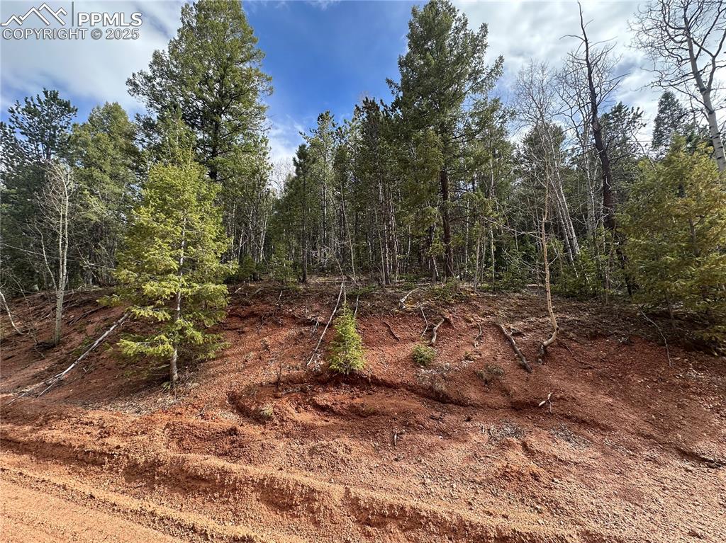 Image 6 of 33: Other