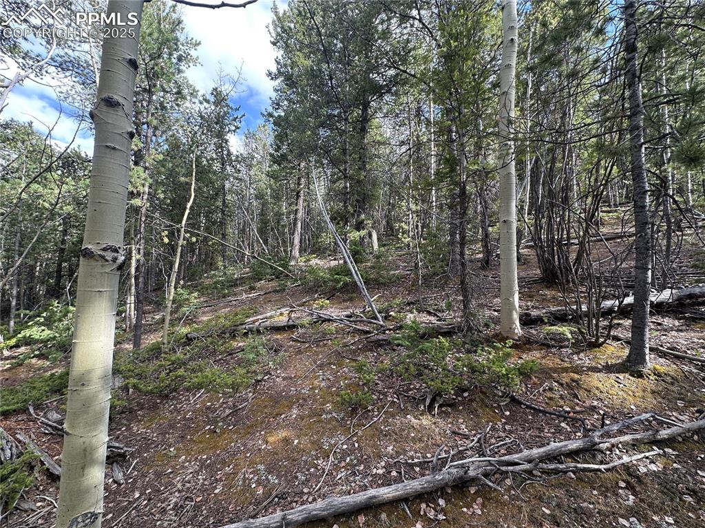 Image 7 of 33: Other