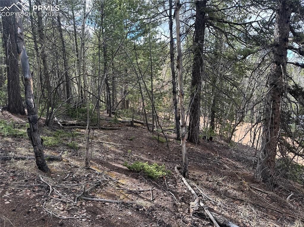 Image 8 of 33: Other