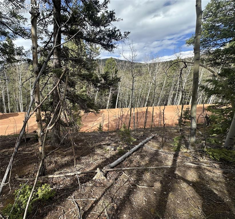 Image 9 of 33: Other