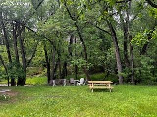 Image 8 of 12: Community