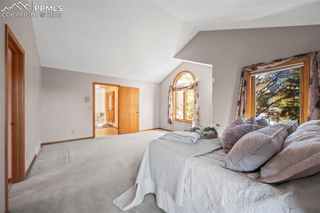 Image 20 of 50: No Description Available