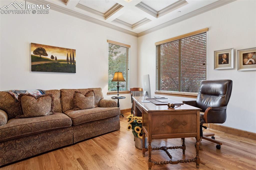 Image 14 of 49: Main Level Bedroom #1 (currently an office) has a hardwood floor, decorativ