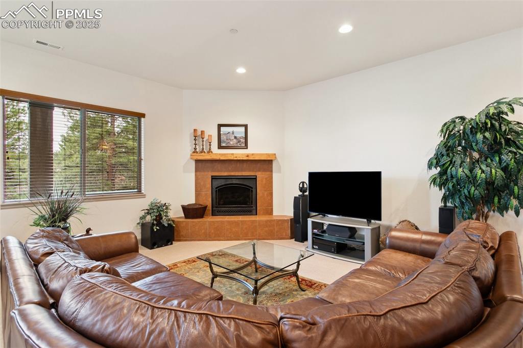 Image 36 of 49: The Basement Family Room has 10ft ceilings, neutral carpet, surround sound,