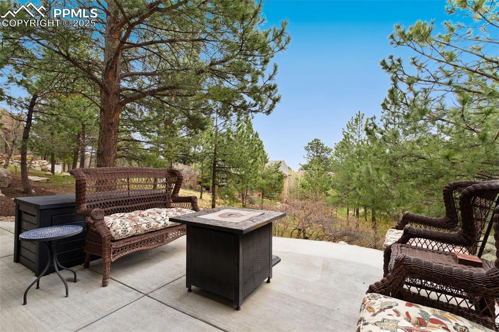 Image 40 of 49: Serene backyard patio surrounded by beautiful mature trees.