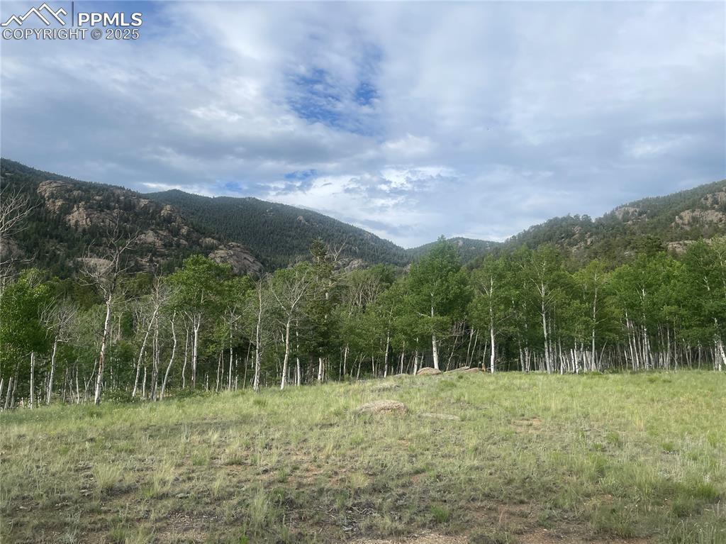 Image 3 of 6: View