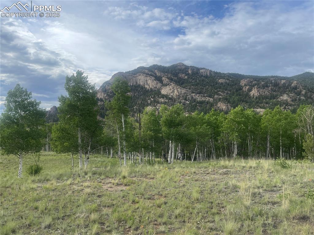 Image 4 of 6: View