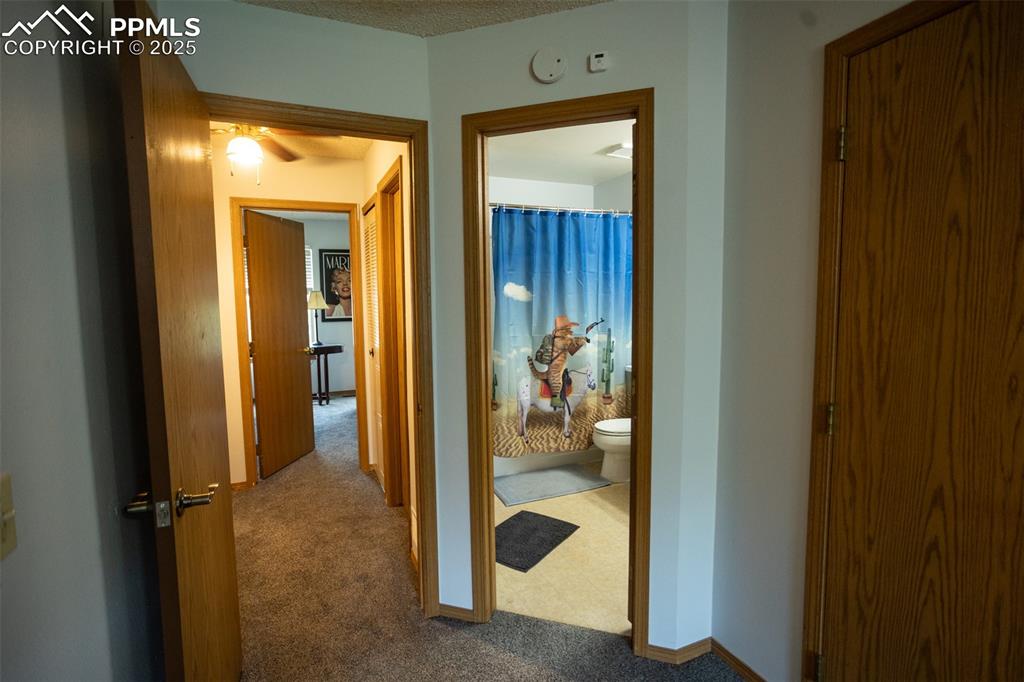 Image 16 of 33: Other