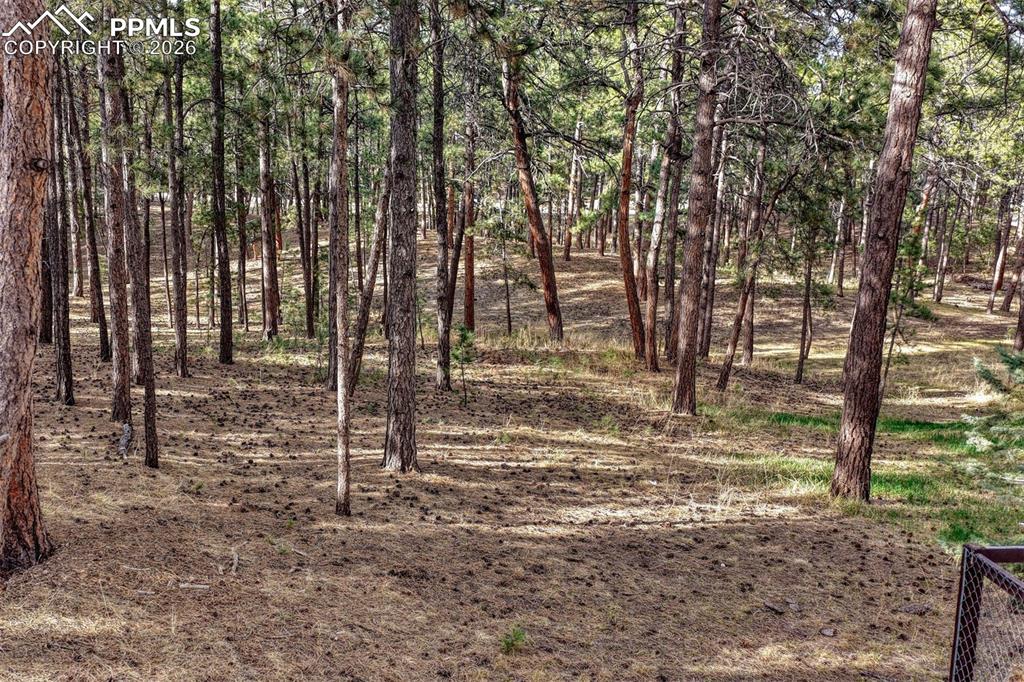 Image 38 of 45: Other