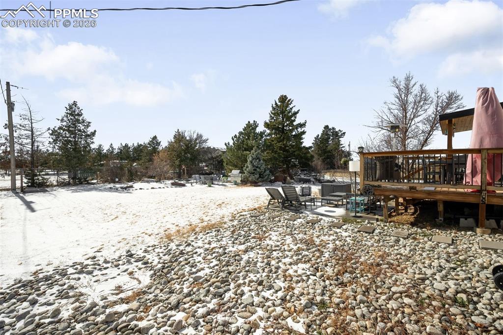 Image 37 of 37: Yard