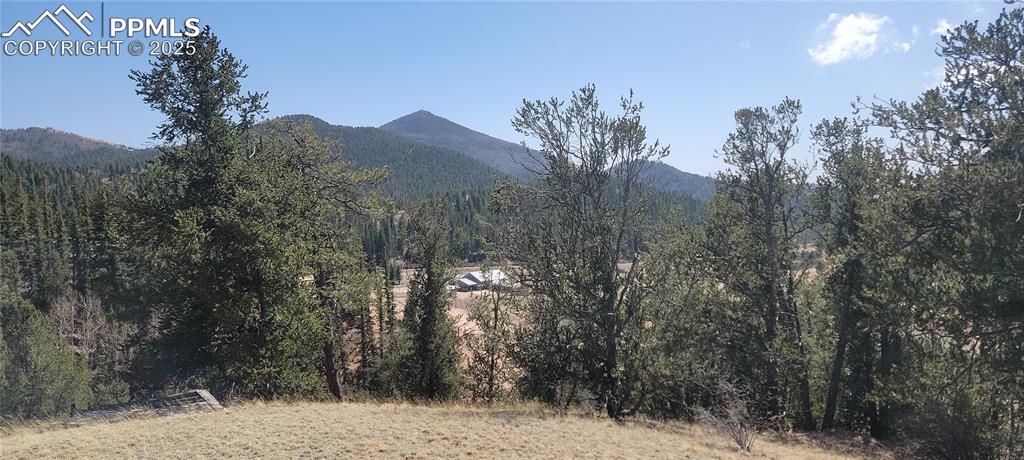 Caption: Mountain view featuring a forest