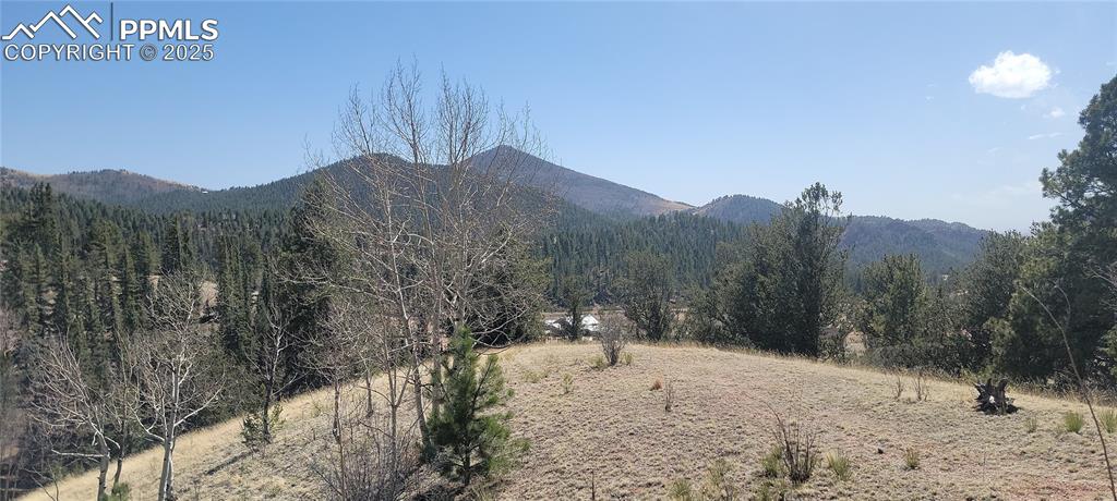 Image 10 of 23: View of mountain background with a forest