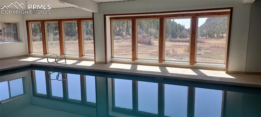 Image 16 of 23: View of pool featuring a sunroom