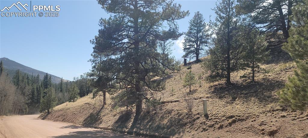 Image 17 of 23: View of local wilderness