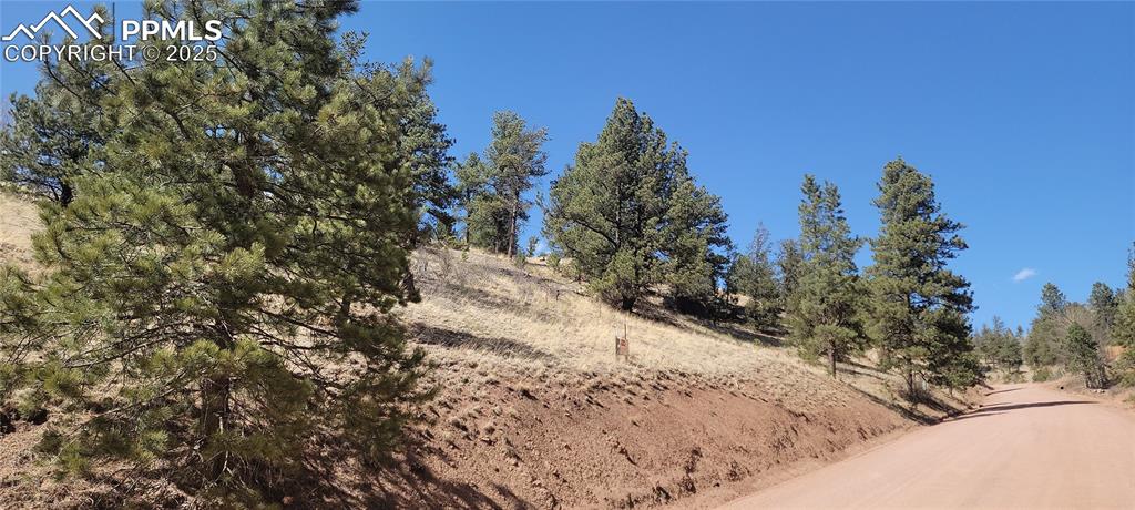 Image 22 of 23: View of local wilderness