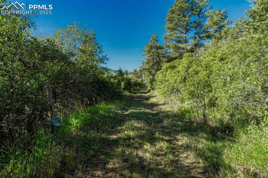 Image 10 of 37: Other