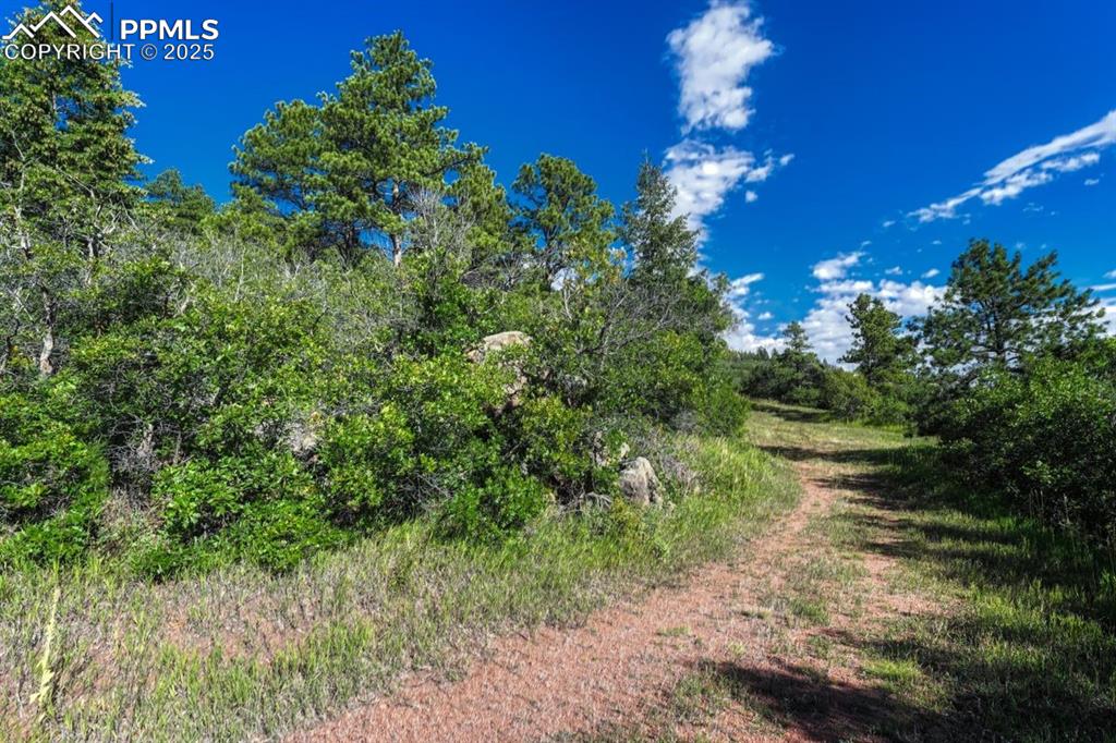 Image 11 of 37: Other