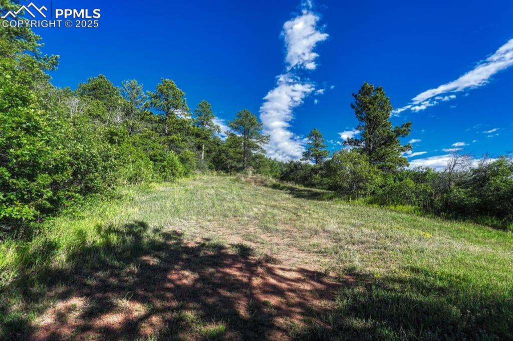 Image 12 of 37: Other