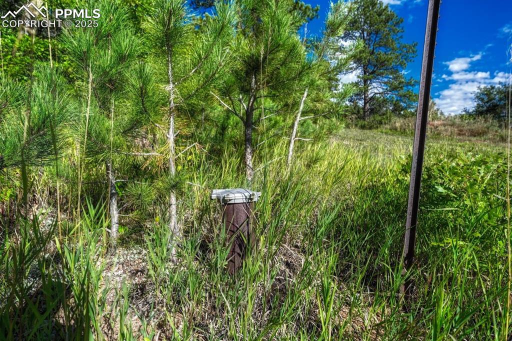 Image 13 of 37: Other