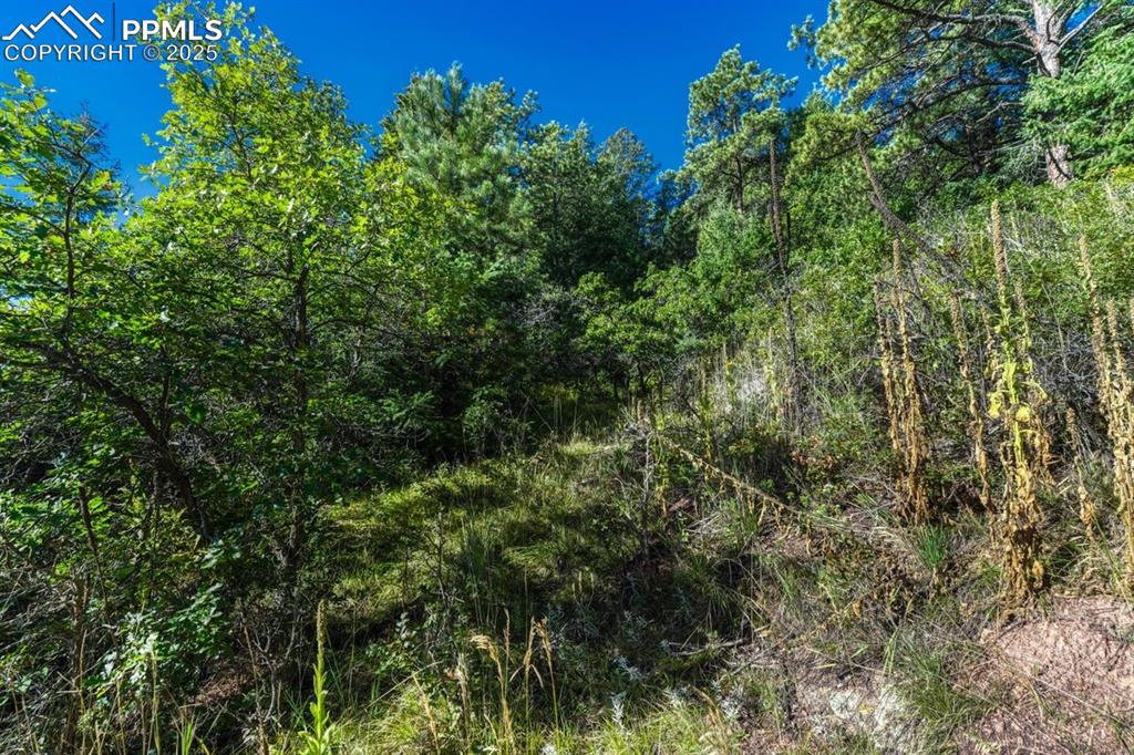 Image 15 of 37: Other