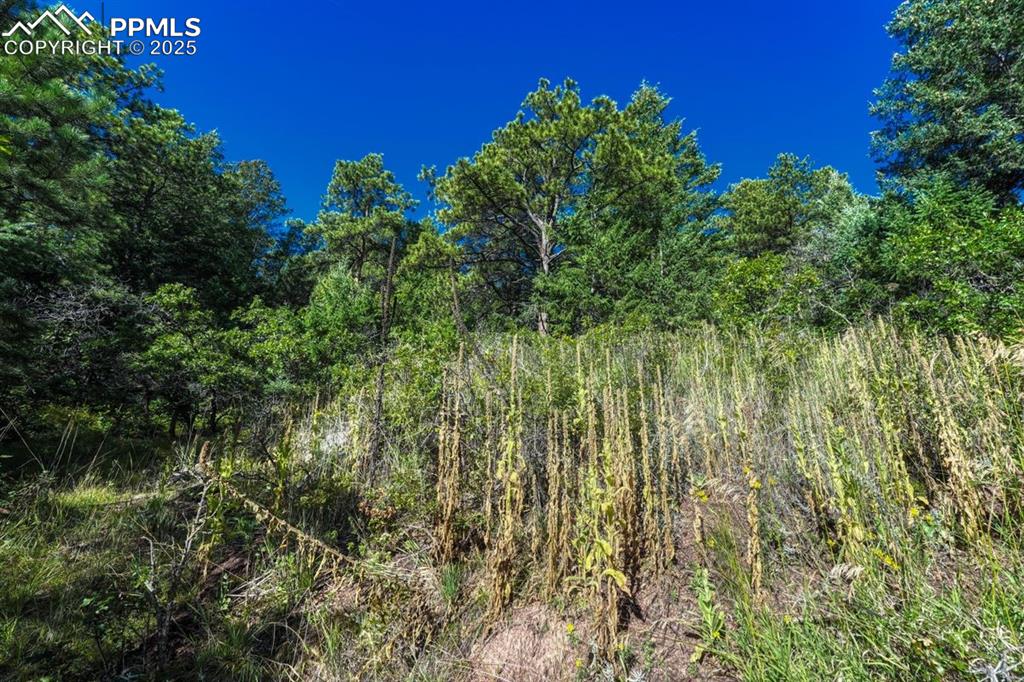 Image 16 of 37: Other