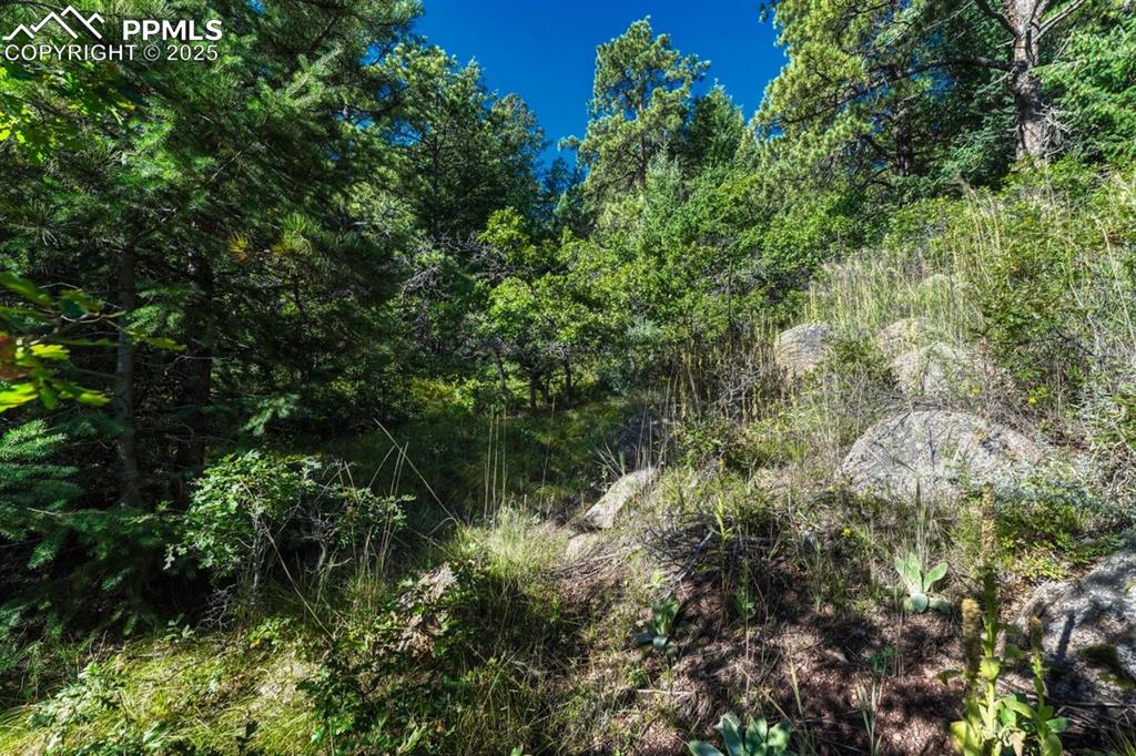 Image 17 of 37: Other