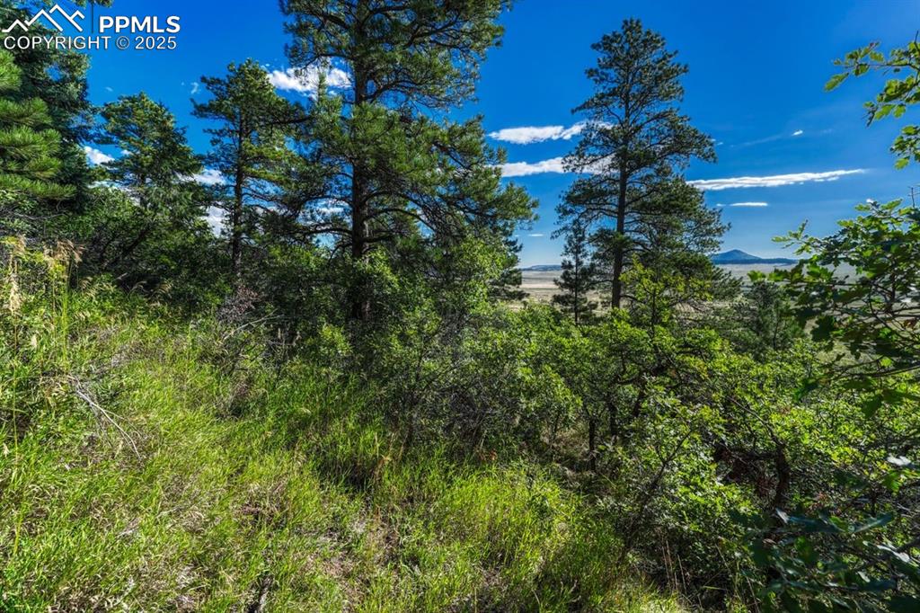 Image 18 of 37: Other