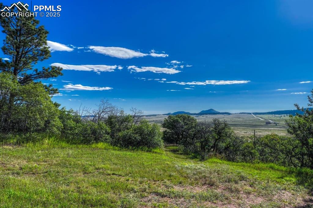 Image 19 of 37: View