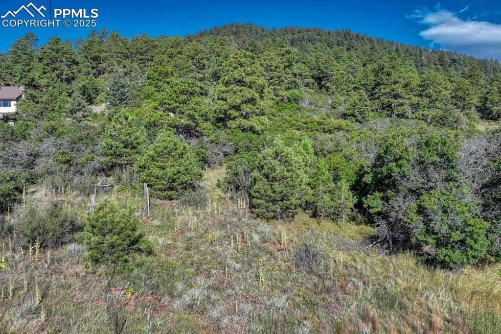 Image 36 of 37: View