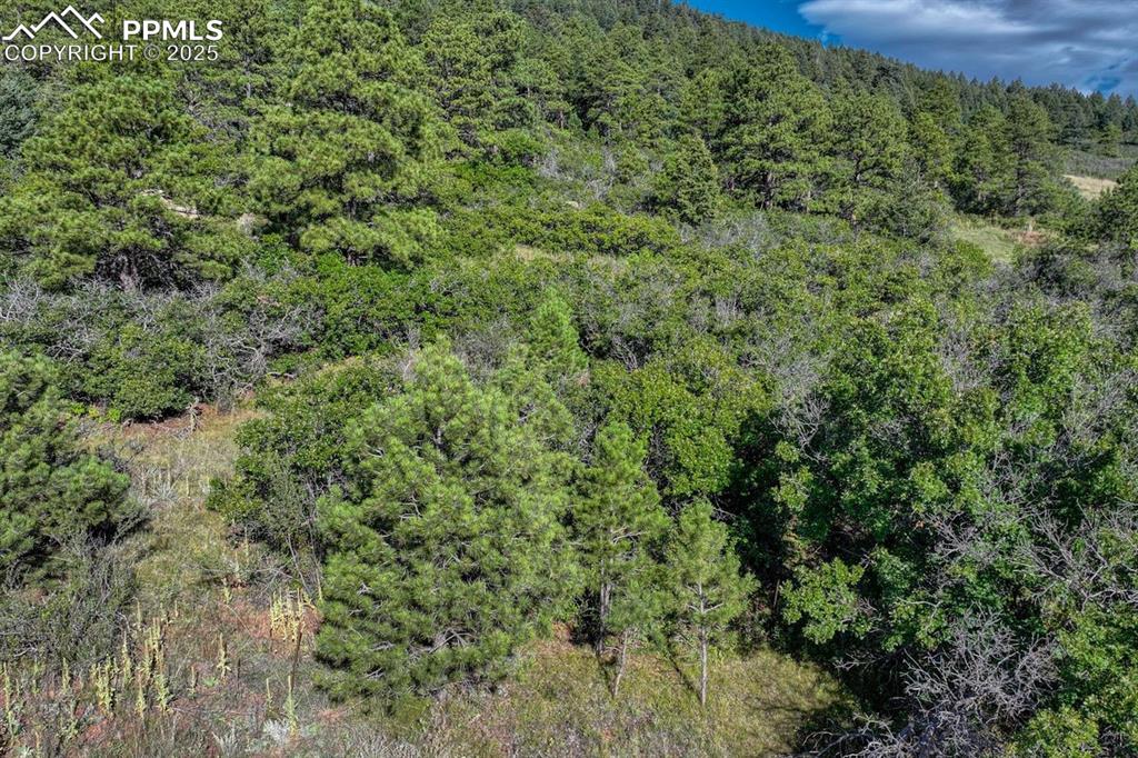 Image 37 of 37: Aerial View