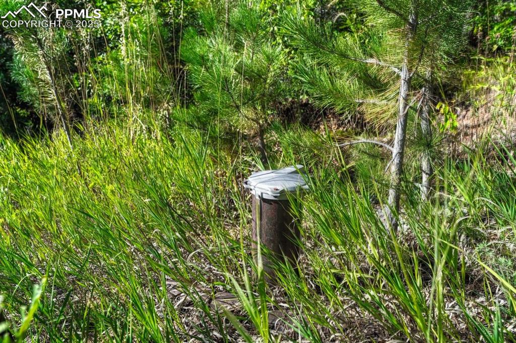 Image 5 of 37: Other